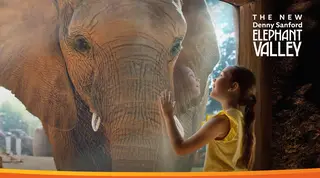 Elephant Valley, zoo, San Diego