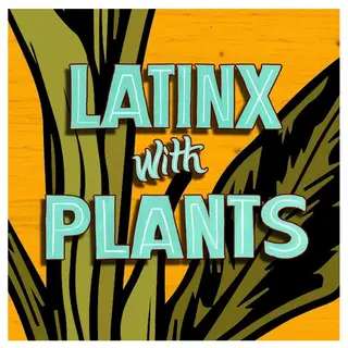 Latinx With Plants, nursery and gardening store, Los Angeles