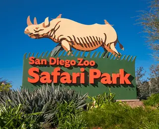 Safari Animal Park Caravan, zoo, Escondido