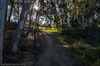 Shepherd Canyon, park, San Diego