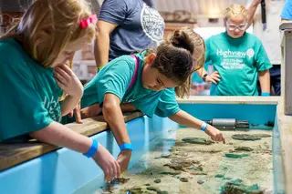 Children's Aquarium Dallas, aquarium, Dallas