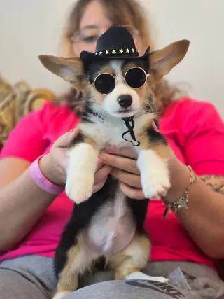 Selfie Paws, petting zoo, Garland