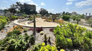 San Carlos Community Garden, arts and entertainment, San Diego