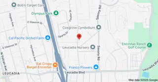 Jungle Music Palms, Cycads, and Tropical Plants, nursery and gardening store, Encinitas