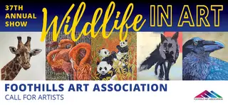 Foothills Art Association, art gallery, La Mesa