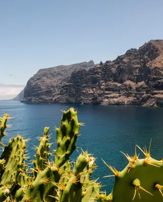 Baja Society Tours, tour operator, San Diego