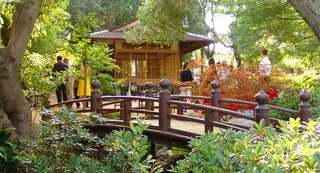 Storrier Stearns Japanese Garden, botanical garden, Pasadena