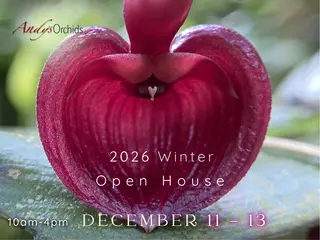 Andy's Orchids, nursery and gardening store, Encinitas