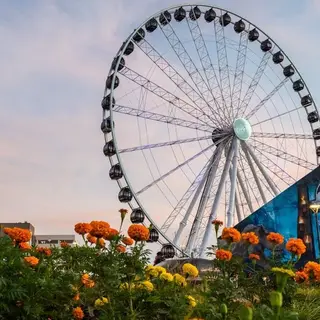 Grandscape Wheel, amusement park, The Colony