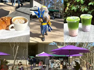 Art of Espresso, coffee shop, La Jolla