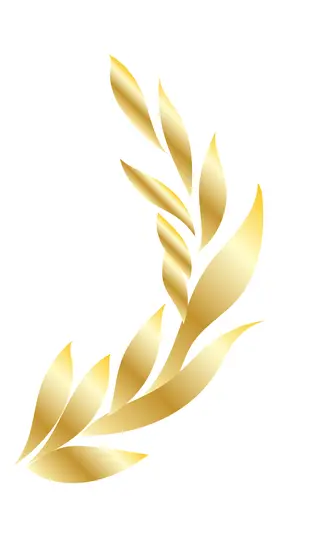Glutenus Maximus Bakehouse, bakery, Vista