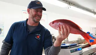 Quality Seafood Inc, seafood restaurant, Redondo Beach