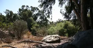 Damon Lane County Park, park, El Cajon