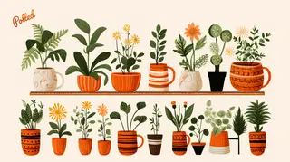 Potted, nursery and gardening store, Los Angeles