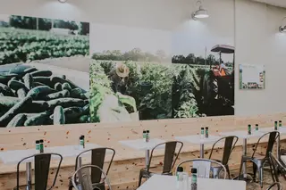 Salad Station, salad bar, Irving