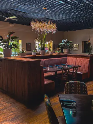 Texano Cocina, texmex restaurant, Dallas