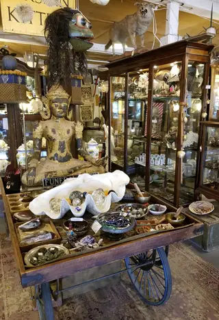 Curiosities, antique store, Dallas