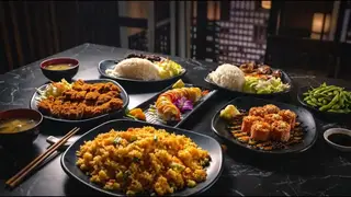 206 Luster Grill, sushi restaurant, Lewisville