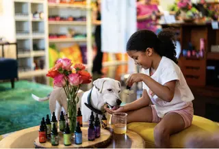 EcoBlend Therapies, day spa, Dallas