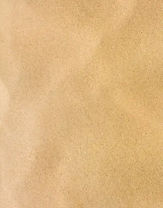 Sabores Oaxaqueños Restaurant, mexican restaurant, Los Angeles