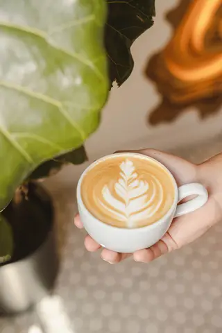 Moniker Coffee Co. at The Outpost, coffee shop, San Diego