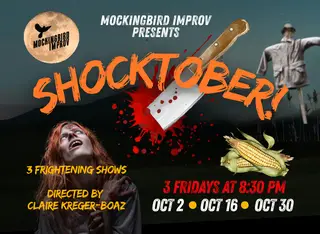 Mockingbird Improv, comedy club, San Diego