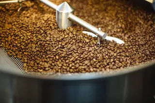 Noble Coyote Coffee Roasters, coffee shop, Dallas