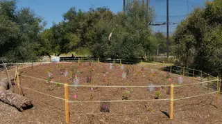 South Pasadena Nature Park, park, South Pasadena