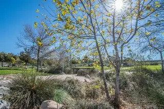 Briercrest Park, park, La Mesa