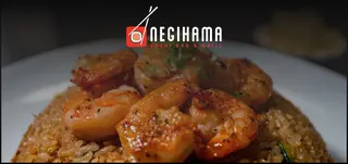Negihama Sushi Bar & Grill, sushi restaurant, San Diego