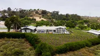Burtech Family Vineyard, winery, Vista