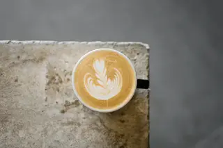 Midnight Animal Coffee, coffee shop, San Diego