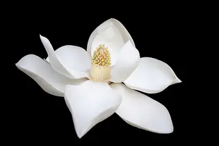 Sweet Serenity Beauty Bar, day spa, Redondo Beach